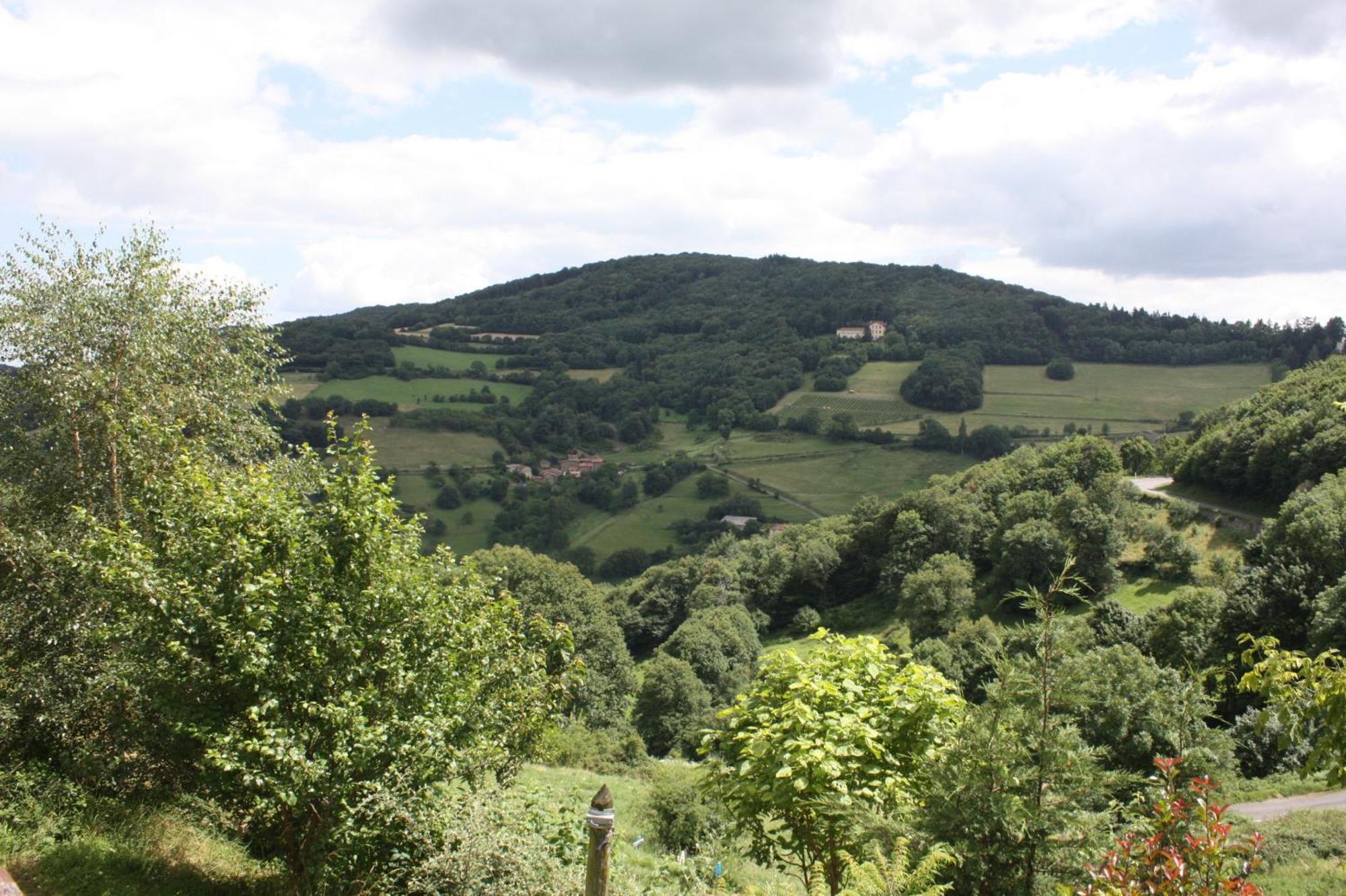 Gites Des Esselards Yzeron Luaran gambar