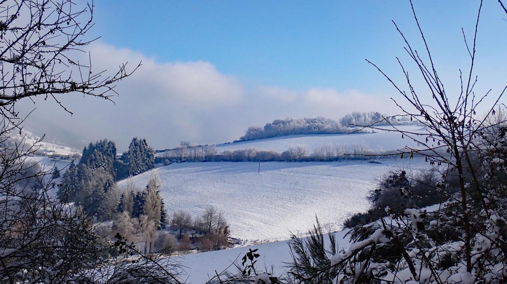Gites Des Esselards Yzeron Luaran gambar